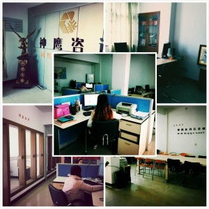 臺州神鷹信息咨詢服務(wù) 權(quán)威解讀與專業(yè)支持